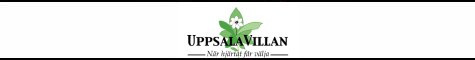 Uppsalavillan